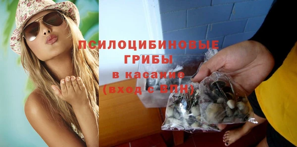 МДПВ Саяногорск