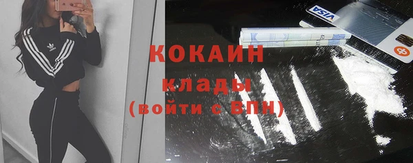 прущие грибы Белоозёрский