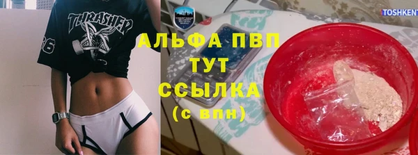 прущие грибы Белоозёрский
