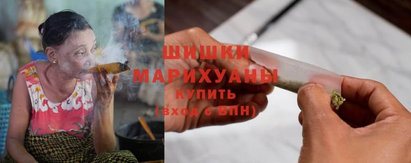 прущие грибы Белоозёрский