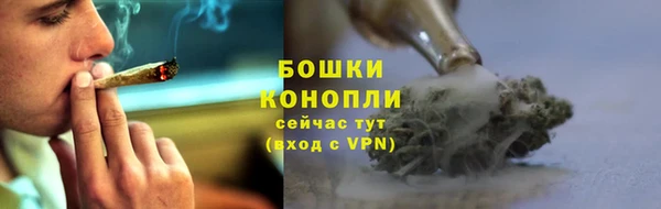 прущие грибы Белоозёрский