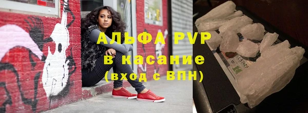 прущие грибы Белоозёрский